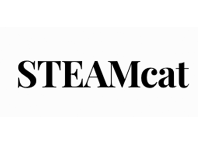 STEAM CAT
