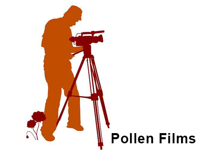 Pollen Film